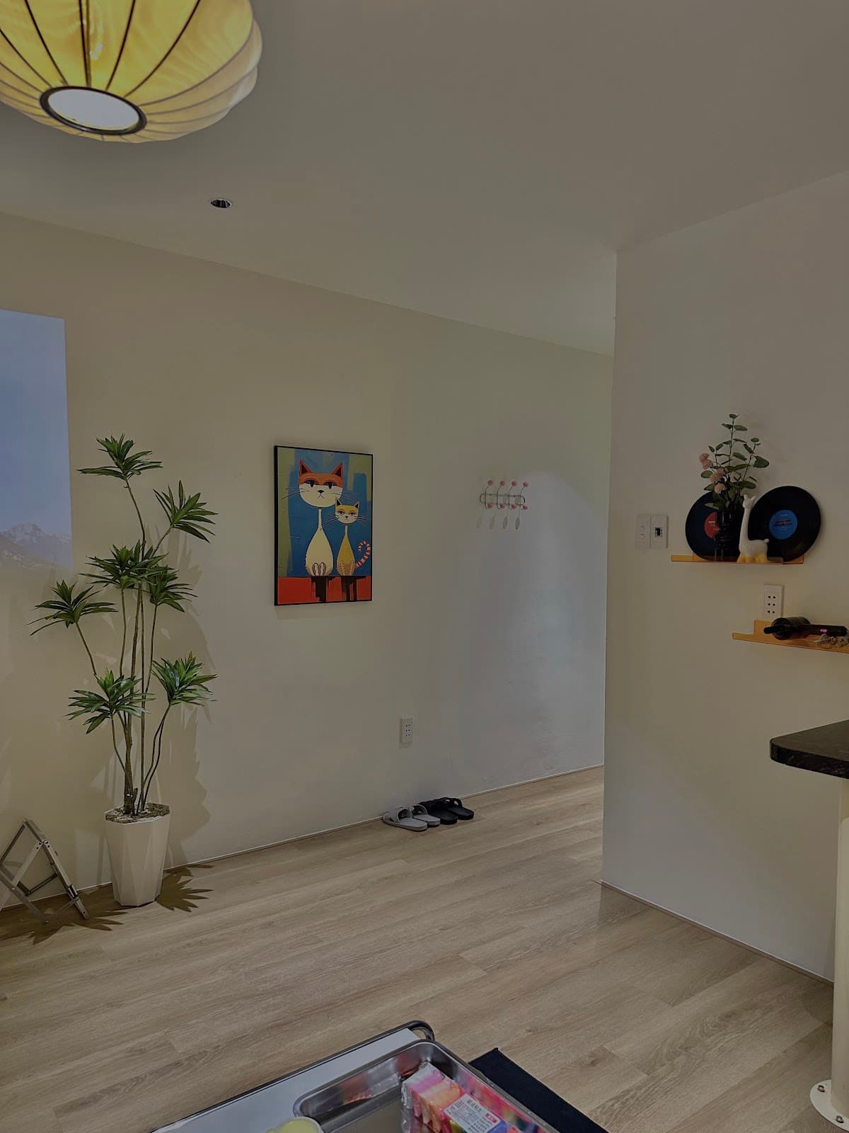Home 8