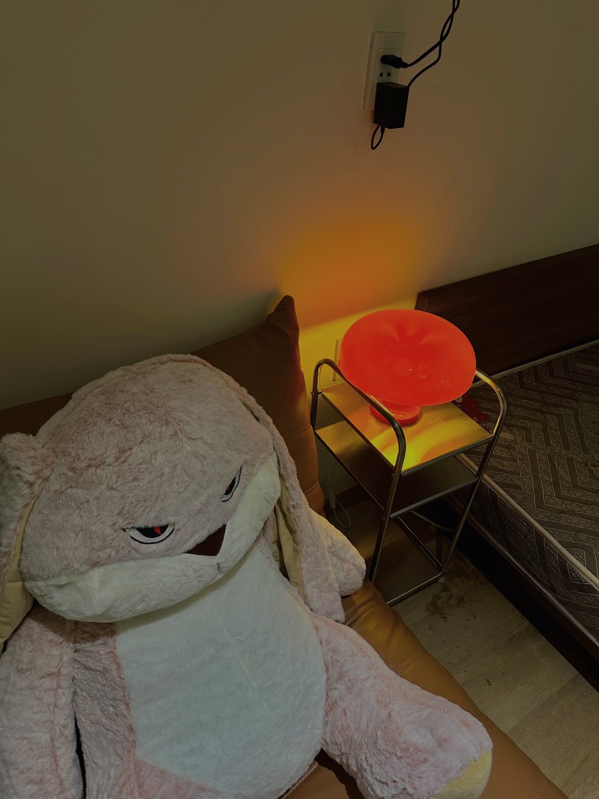 Home 6